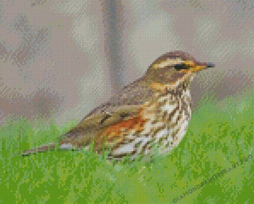 Redwing Diamond Paintings