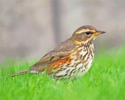 Redwing Diamond Paintings