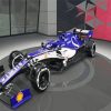 Sauber Racing Car Diamond Paintings