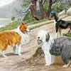 Sheep And Dogs Diamond Paintings