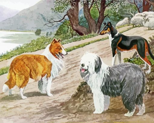 Sheep And Dogs Diamond Paintings