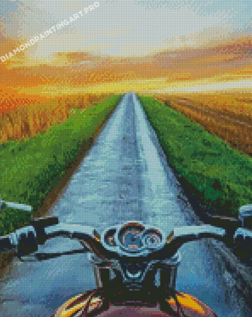 Sunset Motorbike Driver Diamond Painting