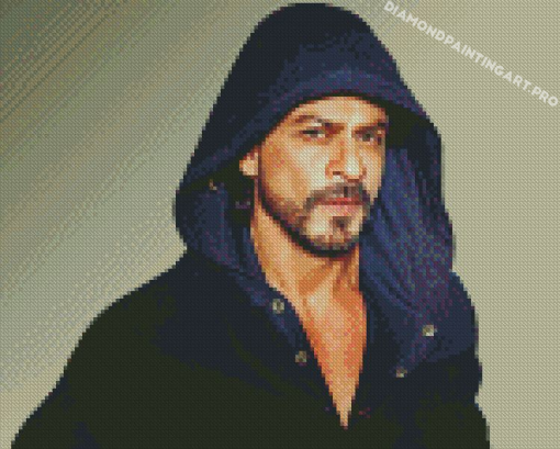 The Actor Shahrukh Khan Diamond Paintings