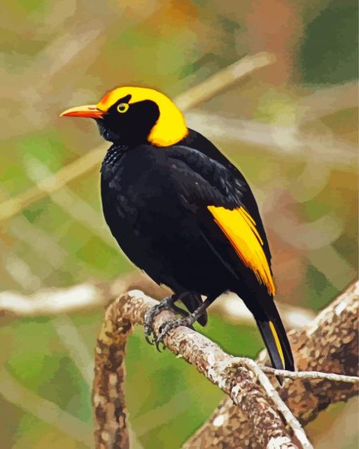 The Regent Bowerbird Diamond Painting