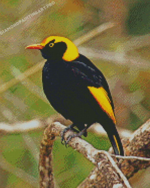 The Regent Bowerbird Diamond Painting