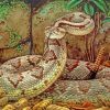 The Rattlesnake Diamond Painting