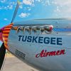 Tuskegee Airmen Diamond Painting