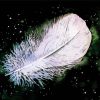 White Feather Diamond Painting