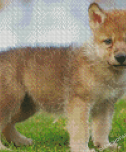 Wolf Pup Diamond Painting