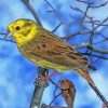 Yellowhammer Bird In Winter Diamond Painting