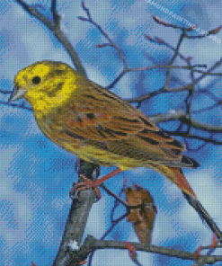 Yellowhammer Bird In Winter Diamond Painting