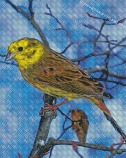 Yellowhammer Bird In Winter Diamond Painting