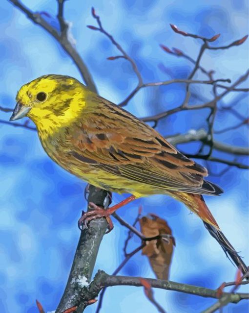 Yellowhammer Bird In Winter Diamond Painting