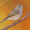 Asian Brown Flycatcher Diamond Paintings