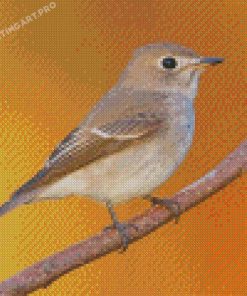 Asian Brown Flycatcher Diamond Paintings