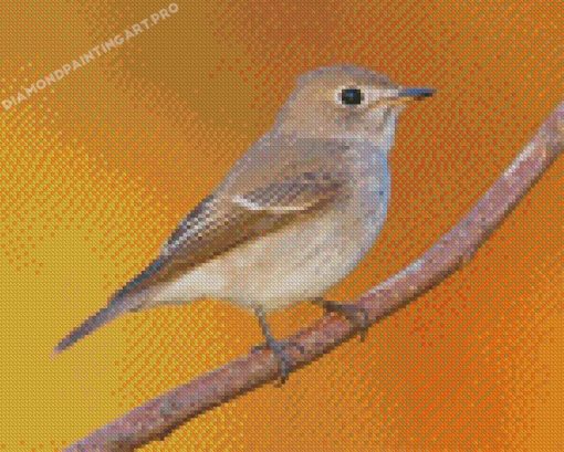 Asian Brown Flycatcher Diamond Paintings