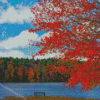 Autumn New England Lake Scene Diamond Painting