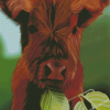 Baby Brown Cow Eating Diamond Painting