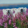 Bears In Lavender Field Diamond Painting