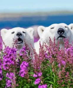 Bears In Lavender Field Diamond Painting