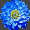 Blue Dahlia Diamond Paintings