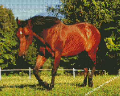 Brown Quarter Horse Diamond Painting