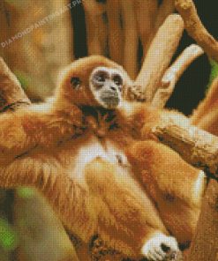 Brown Spider Monkey Diamond Paintings