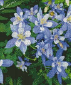 Colorado Blue Columbine Diamond Paintings