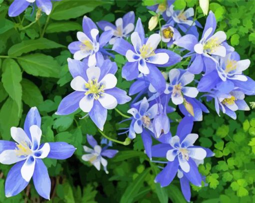 Colorado Blue Columbine Diamond Paintings