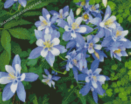 Colorado Blue Columbine Diamond Paintings