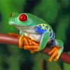 Colorful Frog Diamond Paintings