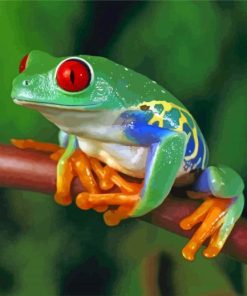 Colorful Frog Diamond Paintings