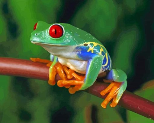 Colorful Frog Diamond Paintings