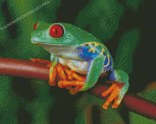 Colorful Frog Diamond Paintings