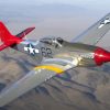 Cool P51 Mustang Diamond Painting