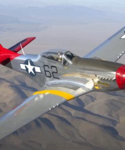 Cool P51 Mustang Diamond Painting