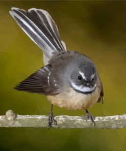 Cute Fantail Bird Diamond Painting