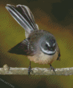 Cute Fantail Bird Diamond Painting