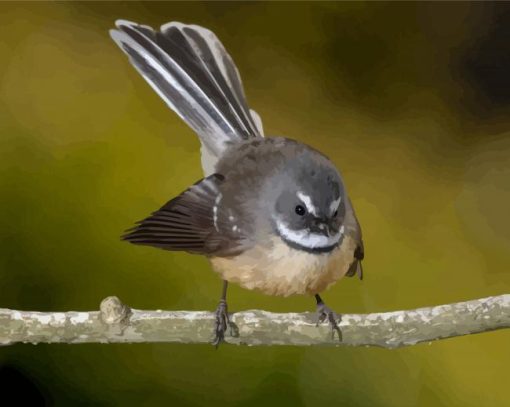 Cute Fantail Bird Diamond Painting