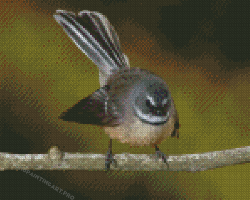 Cute Fantail Bird Diamond Painting