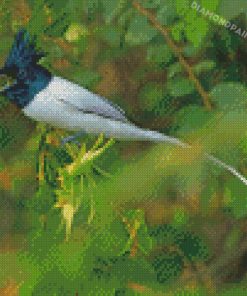 Cute Indian Paradise Flycatcher Diamond Paintings