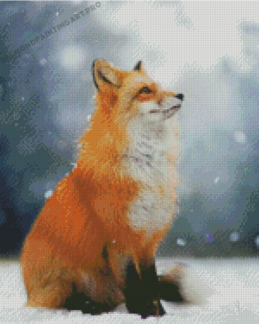 Cute Fox In Snow Diamond Paintings