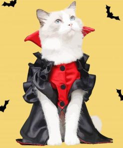 Cute White Halloween Cat Diamond Paintings