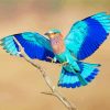 Flying Indian Roller Diamond Paintings