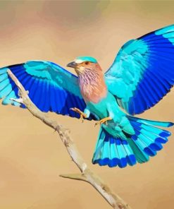 Flying Indian Roller Diamond Paintings