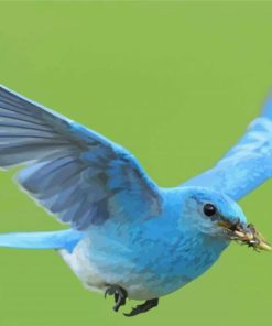 Flying Mountain Bluebird Diamond Painting