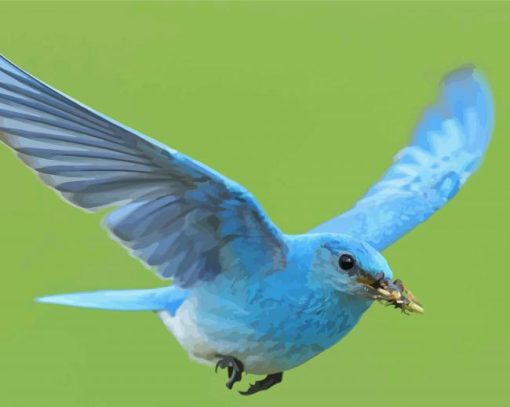 Flying Mountain Bluebird Diamond Painting