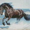 Friesian Horse On Beach Diamond Painting