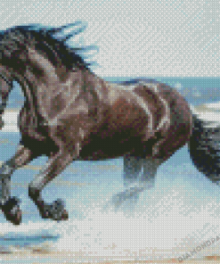 Friesian Horse On Beach Diamond Painting