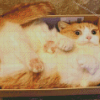 Funny Cat In A Box Diamond Paintings